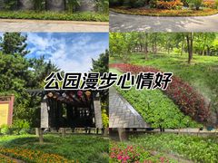 -月坛公园