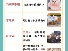 -瑞派天使宠物医院·神经外科·骨科·核磁(洛川中路店)
