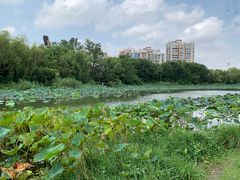 -新江湾城公园