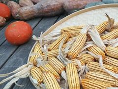 -前小桔亲子创意农场·草莓采摘·露营烧烤