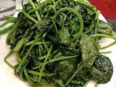 清炒苕尖-廖老妈蹄花店(人民公园陕西街259号店)