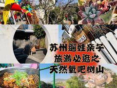 -树山生态村