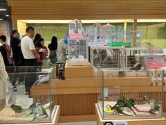 -帕帕拉兹宠物(亚洲旗舰店)