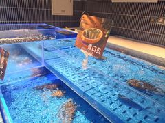 -海底捞火锅(长宁路龙之梦店)
