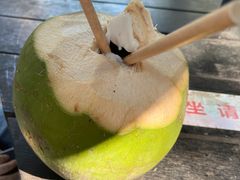 -深圳野生动物园