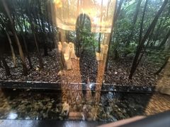 -东方明珠老上海8号餐厅(东方明珠广播电视塔店)