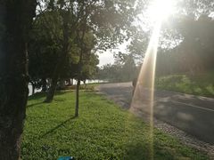 -松山湖梦幻百花洲