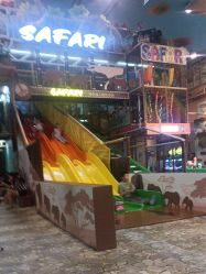 -卡通尼·Safari非洲探索乐园·生日会(金桥国际商业广场店)