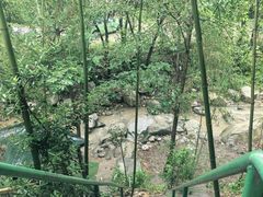 -西安祥峪森林公园