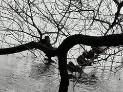 -苏堤停车场