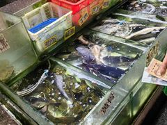 -珠光市场(文德南路)