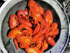 高品质清水龙虾-七星龙虾城·海鲜·大闸蟹(吴江店)