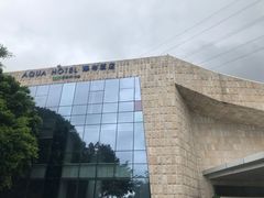 -深圳东部华侨城瀑布酒店