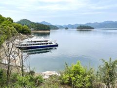 -千岛湖东南湖区