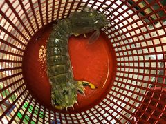 -ZF Seafood Restaurant 卓峰海鲜餐