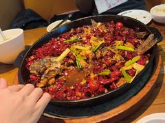 -老板恋上鱼(印象城店)