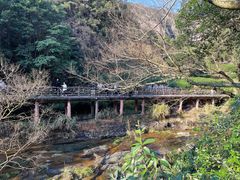 -雁荡山大龙湫景区