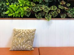 -Peet's Coffee皮爷咖啡(上海长风大悦城店)