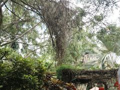 -海南热带野生动植物园