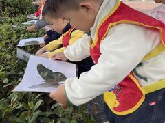 -全优加早教托育园(金海岸店)