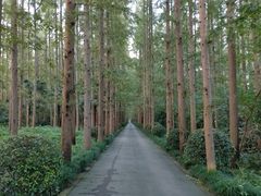 -上海怡沁园度假酒店
