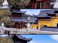 -树山生态村