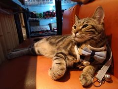 -蘭葶花酒馆(鼓楼店)