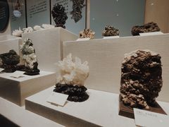 -柳州白莲洞洞穴科学博物馆