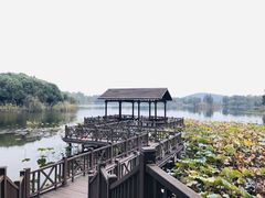 -上海市保健医疗中心