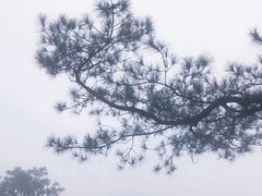 -白云山风景名胜区