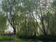 -长田漾湿地公园