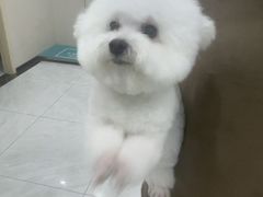 -安安宠医宠物医院·异宠·犬猫内科(岳阳分院)