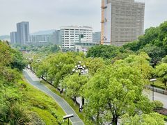 -玉树公园