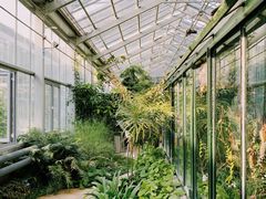 -国家植物园南园