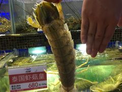-欢乐海岸美食联盟