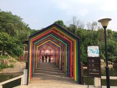 -白马涧龙池景区