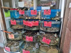 零售区-北戴河庆山饭店·海鲜砂锅粥(北戴河黑石路店)