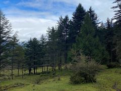 -硗碛藏寨·神木垒景区