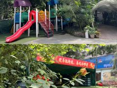 -金豆子幼稚园