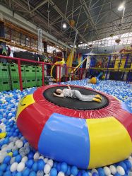 -爱丽丝奇幻乐园