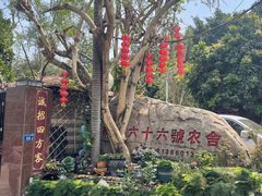 -杨厝六十六农庄农舍(杨厝路店)