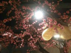 -香坝坝鲜鱼火锅(春熙路店)