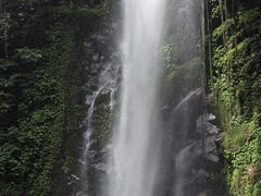-莫里热带雨林景区