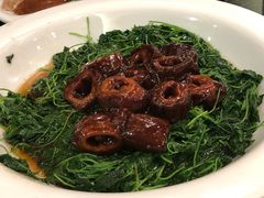 -新南华大酒店(广中店)