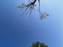 -白石龙音乐公园
