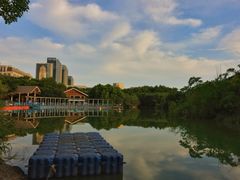 -上海吴淞炮台湾国家湿地公园