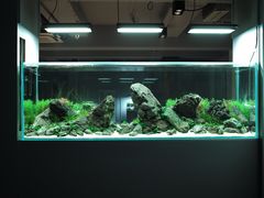 -ADA自然水景世界