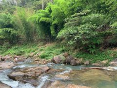 -广州白江湖森林公园