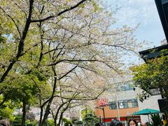 -玛格萝妮比萨屋(四平店)