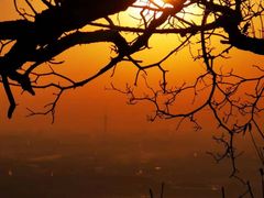 -北京西山国家森林公园